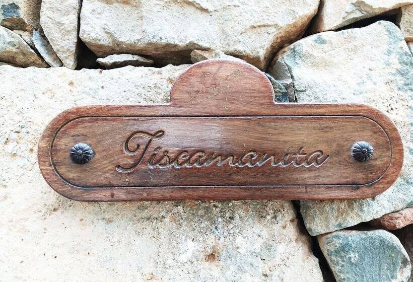 Номер Стандарт, Rural Rugama