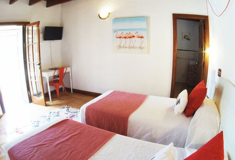 Номер Стандарт, Rural Rugama