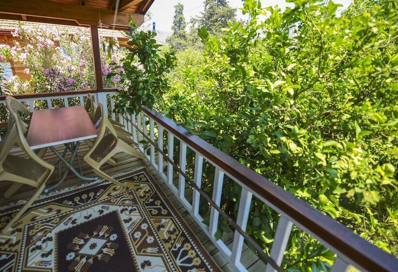 带1个卧室的高档别墅, Cirali Villa Zeytin