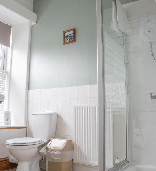 シングルデラックスルーム, Glanllifon B&b