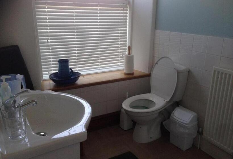 豪华单人间, Glanllifon B&b