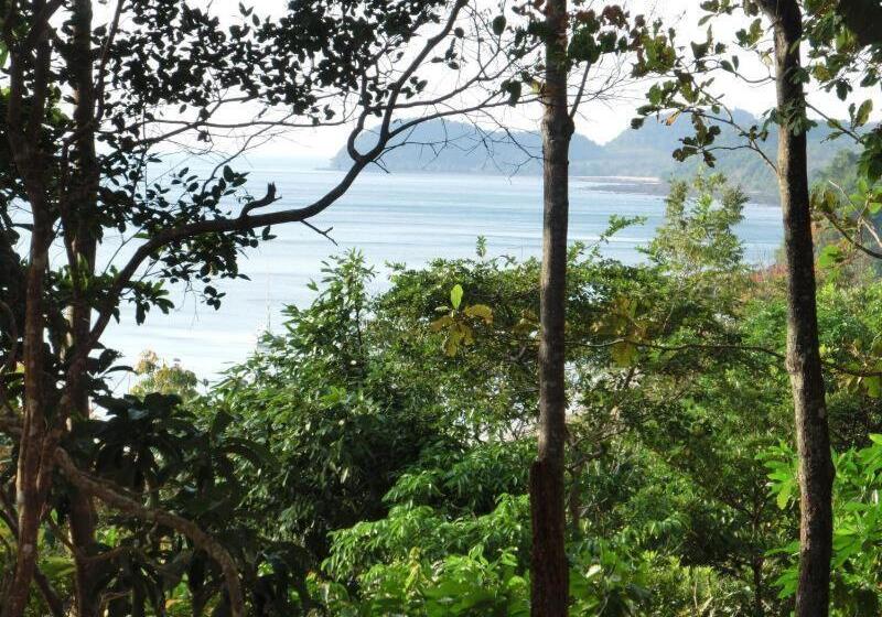 بانگلوی استاندارد با چشم‌انداز دریا, Good Morning Bungalow