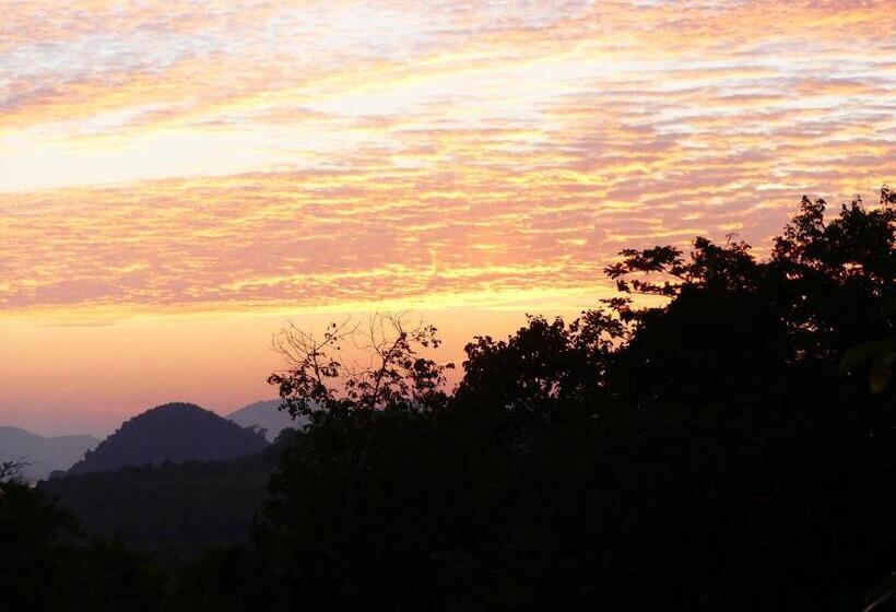 ویلای استاندارد با چشم‌انداز باغ, Good Morning Bungalow