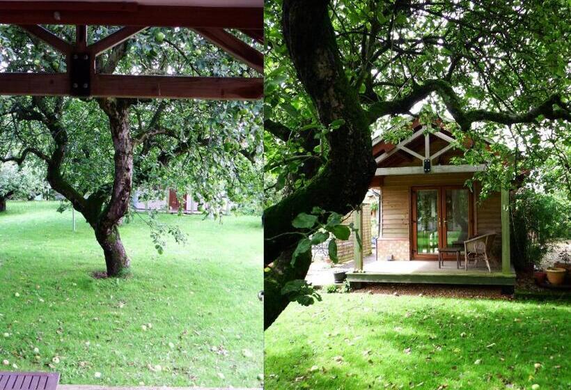 Номер Стандарт, Kenilworth Garden Accomodation