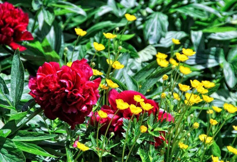 Habitació Estàndard Llit King, The Swallows Rest Bed & Breakfast