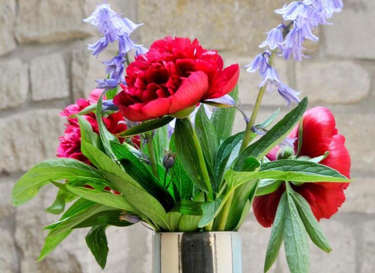 Habitació Estàndard Llit King, The Swallows Rest Bed & Breakfast