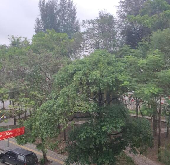 سوئیت جونیور خانوادگی, Star Hotel Hai Duong