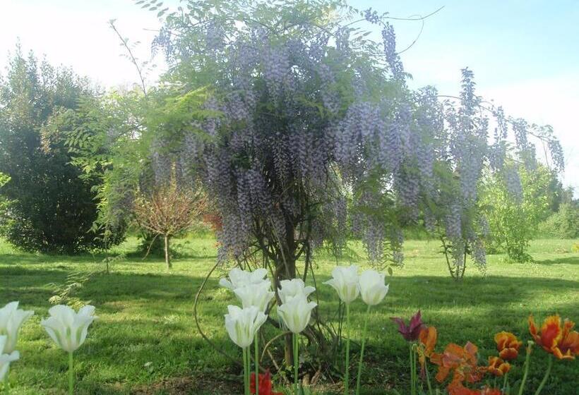 اتاق استاندارد با چشمانداز باغ, Domaine Mongiron