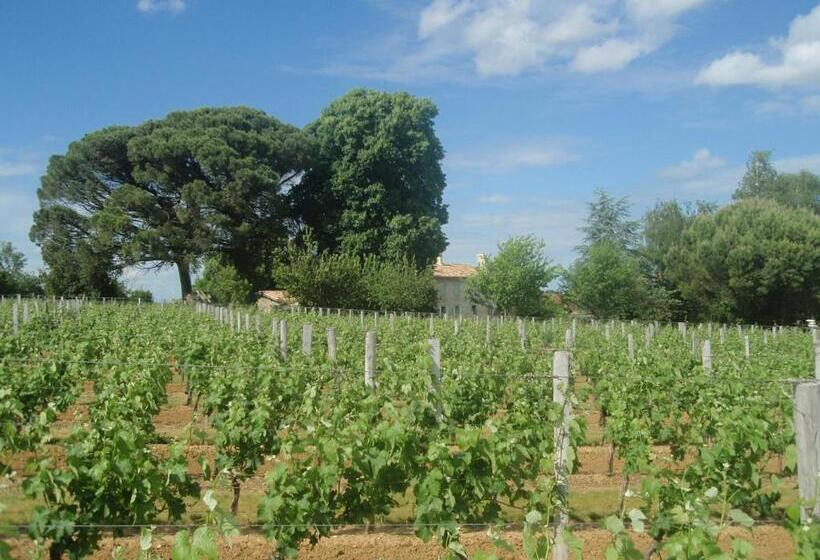 استودیو استاندارد با چشمانداز باغ, Domaine Mongiron