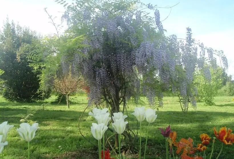 استودیو استاندارد با چشم‌انداز باغ, Domaine Mongiron
