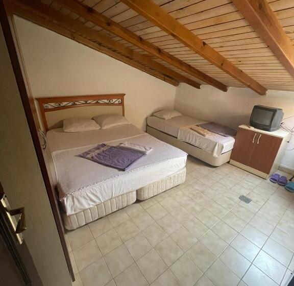 اتاق خانوادگی, Dedehan Pansiyon