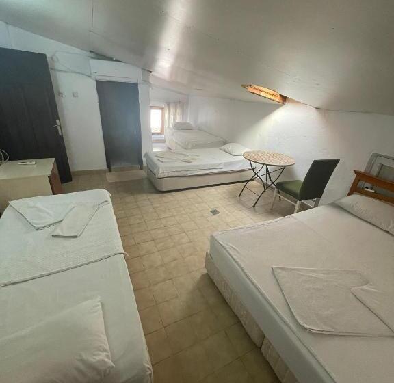 اتاق خانوادگی, Dedehan Pansiyon