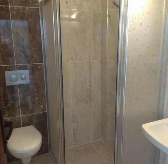 غرفة قياسية فردية, Oreko Express