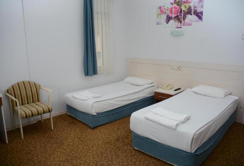 غرفة قياسية, Oreko Express