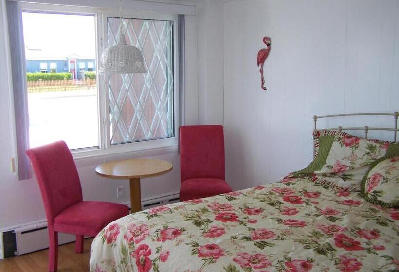 Номер Стандарт, Sea Drift Motel