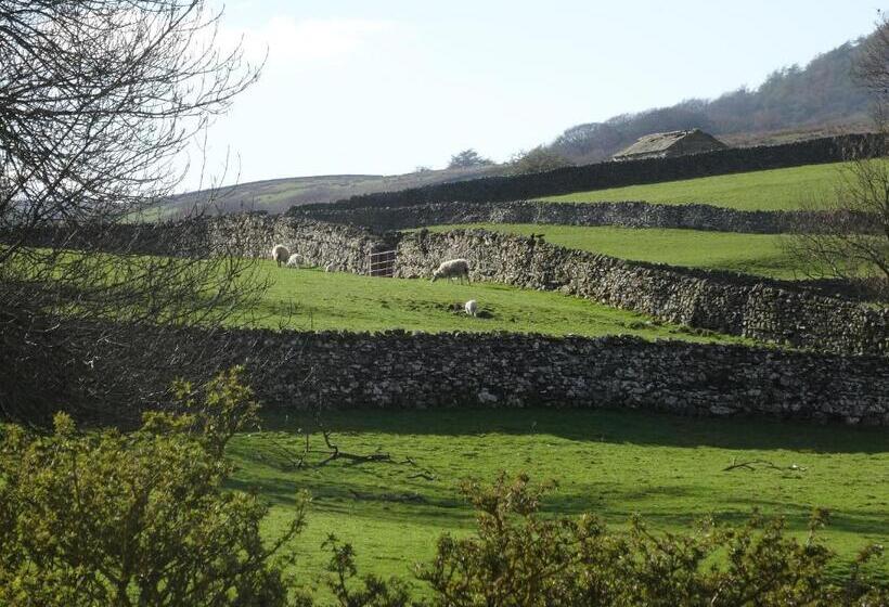 스탠다드 룸 킹사이즈 침대, Thornsgill House Bed & Breakfast