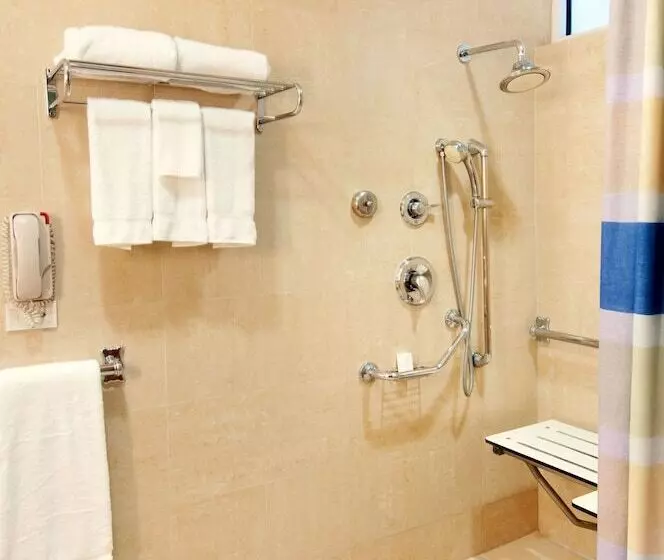 اتاق استاندارد برای معلولان, Hilton Ponce Golf & Casino Resort