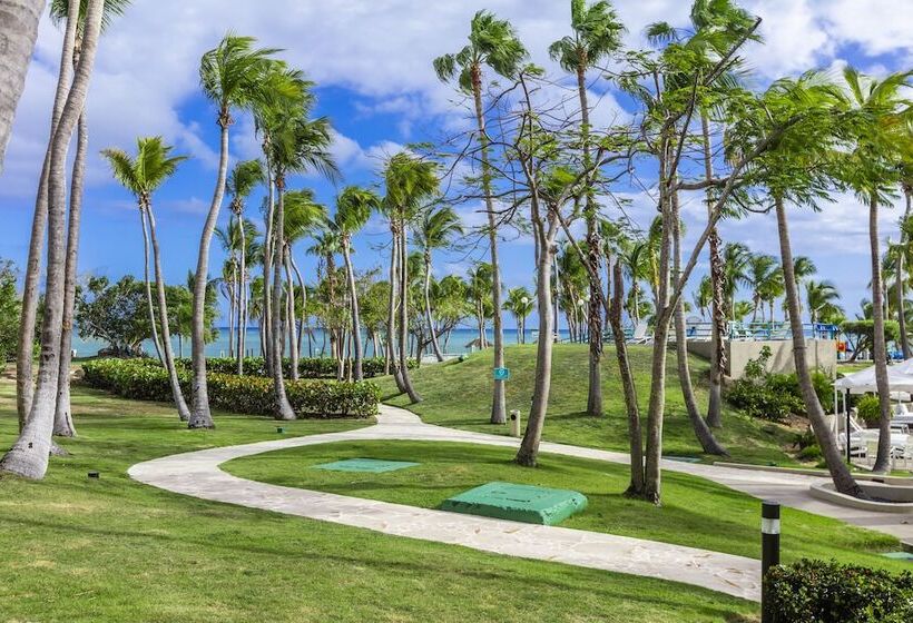 اتاق استاندارد برای معلولان, Hilton Ponce Golf & Casino Resort