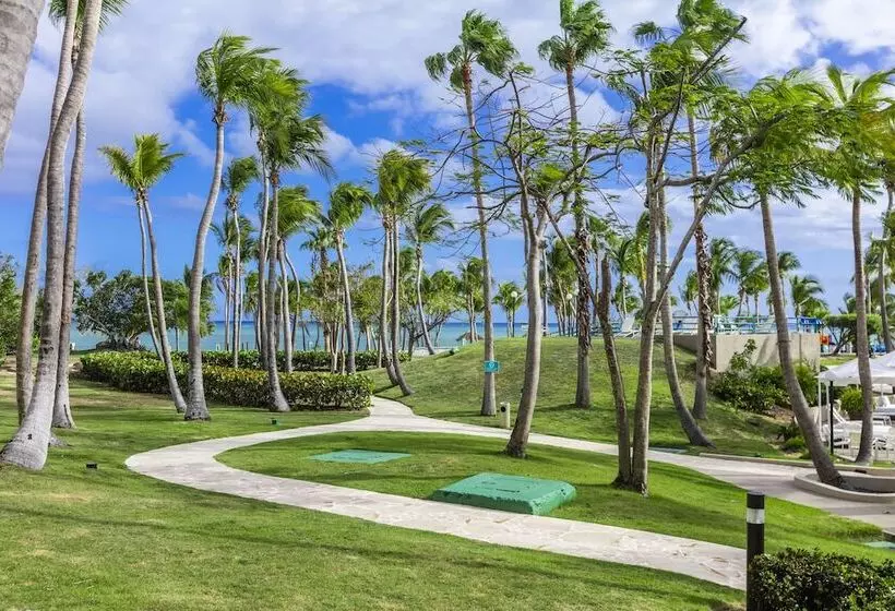 اتاق استاندارد برای معلولان, Hilton Ponce Golf & Casino Resort