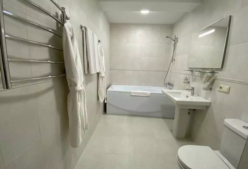اتاق استاندارد, Intourist Stavropol