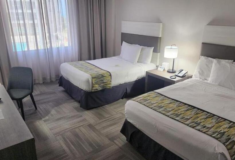 اتاق سوپریور, Mayaguez Resort & Casino