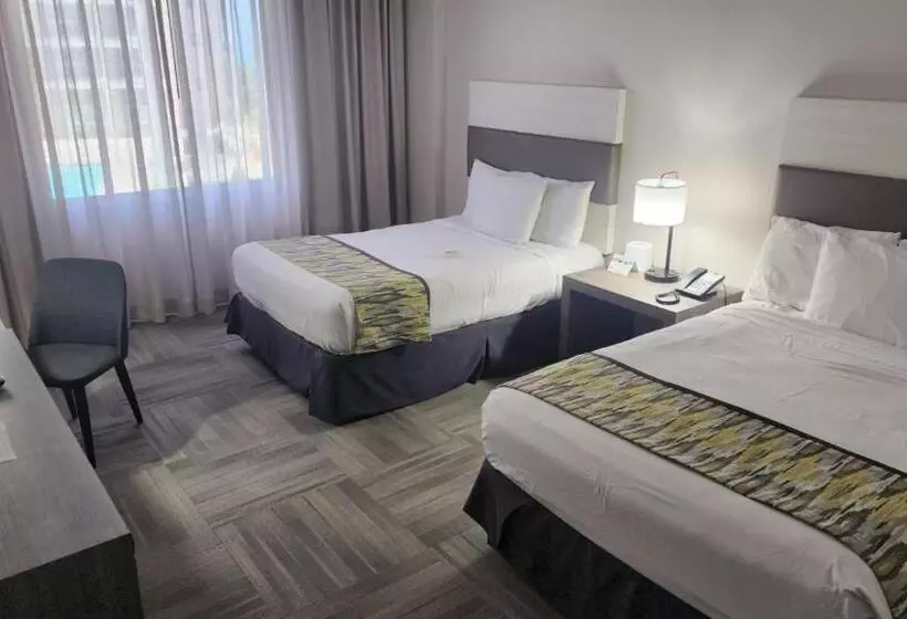 اتاق سوپریور, Mayaguez Resort & Casino