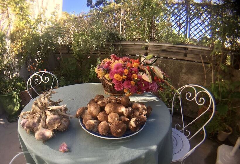 Номер Стандарт, Les Asphodeles