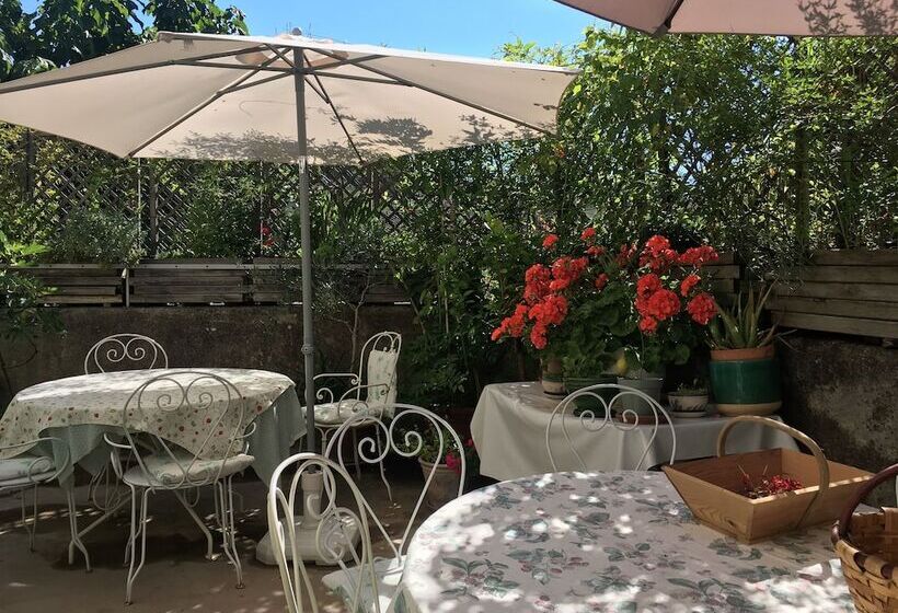 Номер Стандарт, Les Asphodeles