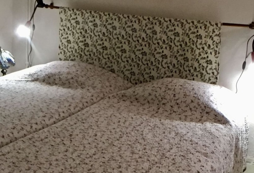 Номер Стандарт, Les Asphodeles