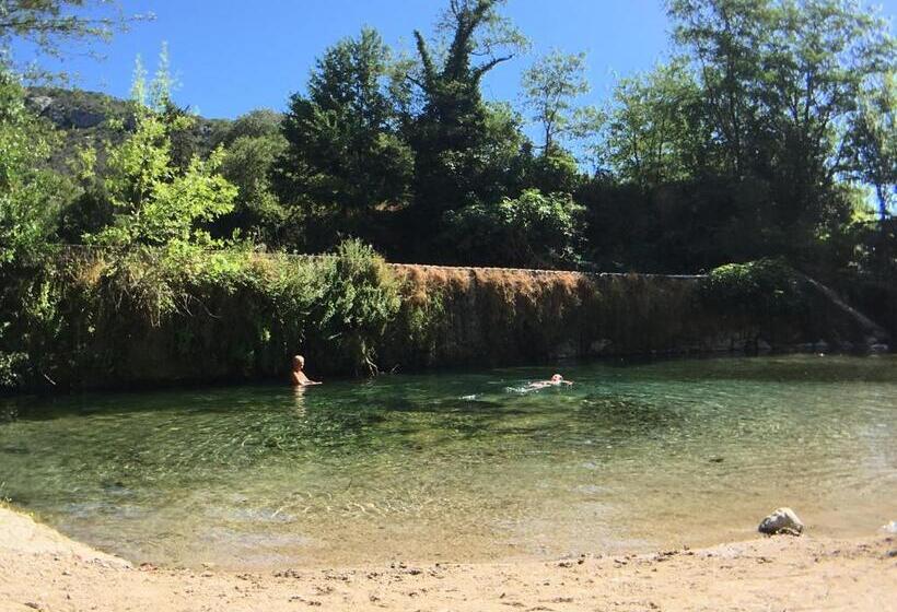 Семейный Номер, Les Asphodeles