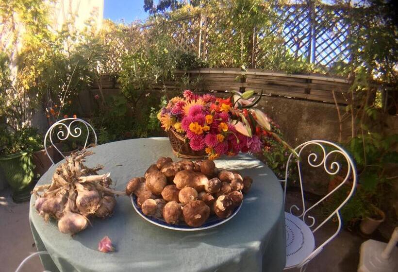 Дом 1 Спальня, Les Asphodeles