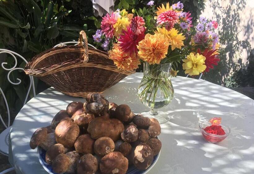 Дом 1 Спальня, Les Asphodeles