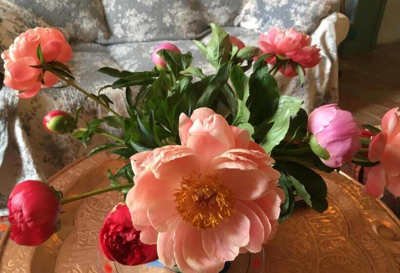 Дом 1 Спальня, Les Asphodeles