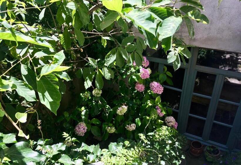 Номер Стандарт, Les Asphodeles