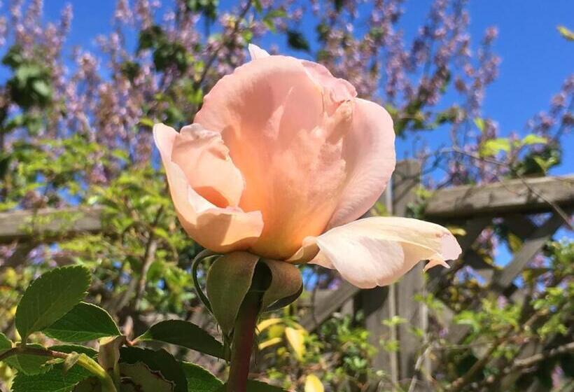 Дом 1 Спальня, Les Asphodeles