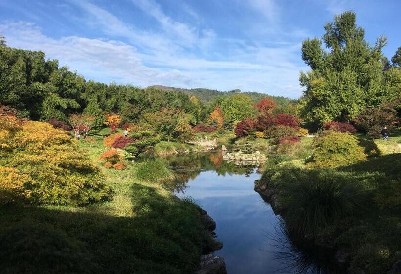 Дом 1 Спальня, Les Asphodeles