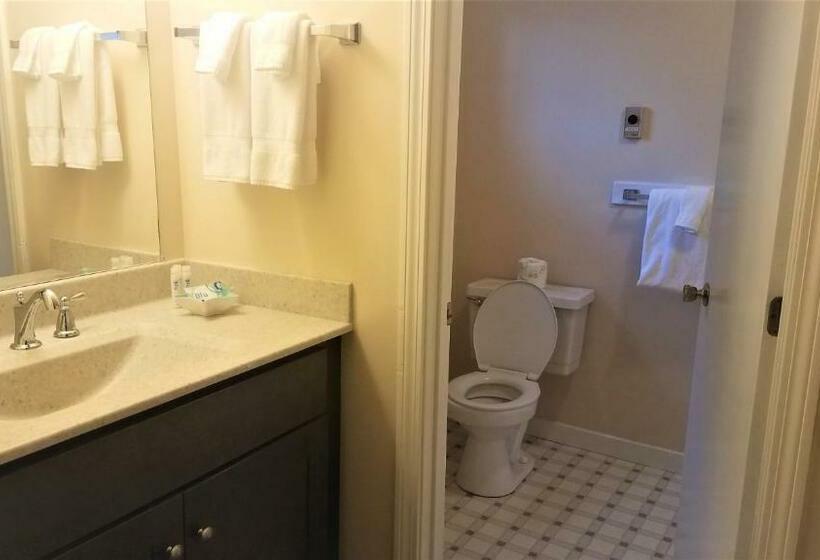 Номер Стандарт 2 Двуспальные Кровати, The Lighthouse Inn & Suites