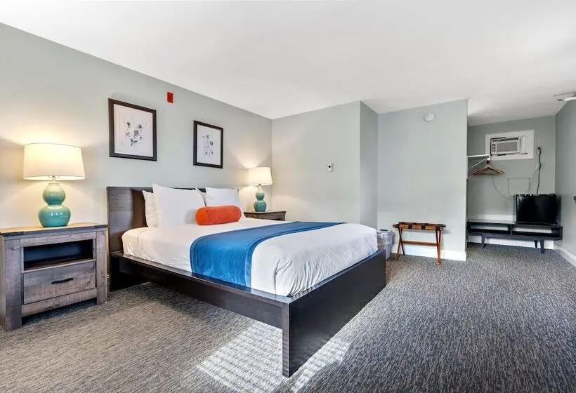 ダブルベッドスタンダードルーム, The Lighthouse Inn & Suites