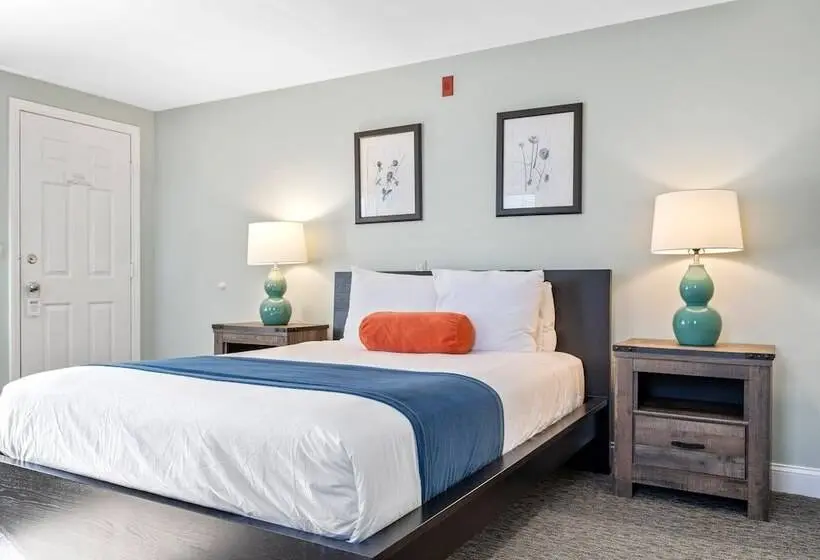 ダブルベッドスタンダードルーム, The Lighthouse Inn & Suites