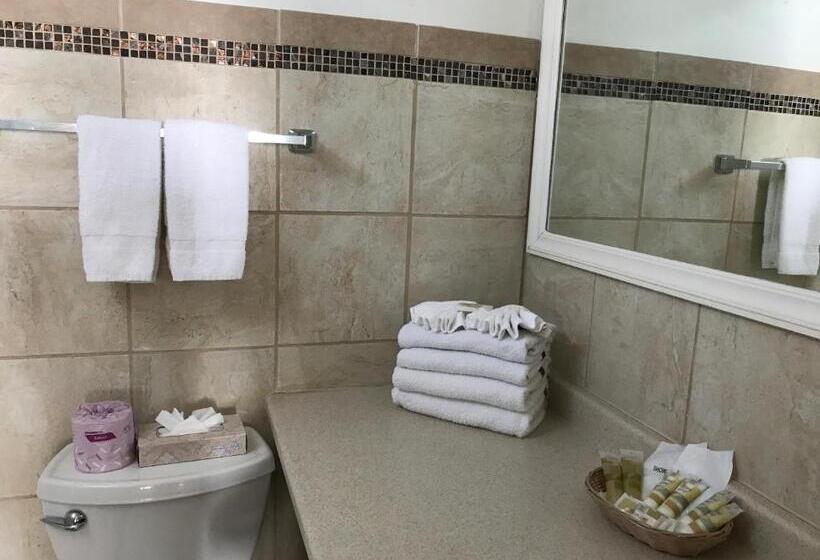 إستوديو قياسى ذو إطلالة جانبية على البحر, Ocean Surf Resort