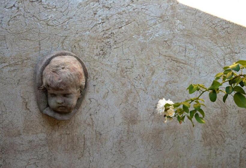 إستوديو قياسى مطلّ علي الحديقة, Le Chat Sur Le Toit