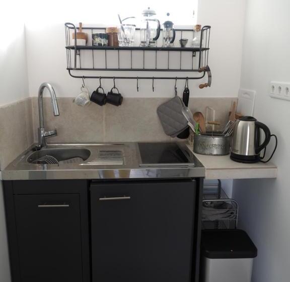 إستوديو قياسى مطلّ علي الحديقة, Le Chat Sur Le Toit