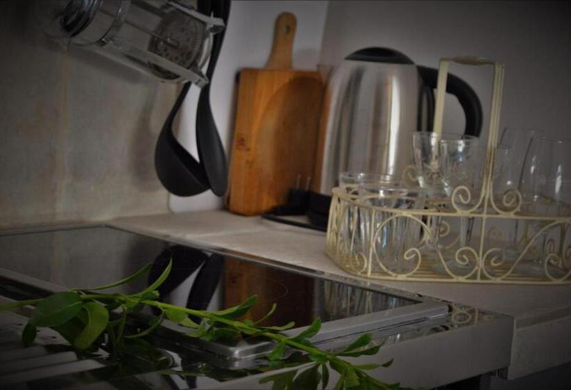 إستوديو قياسى مطلّ علي الحديقة, Le Chat Sur Le Toit