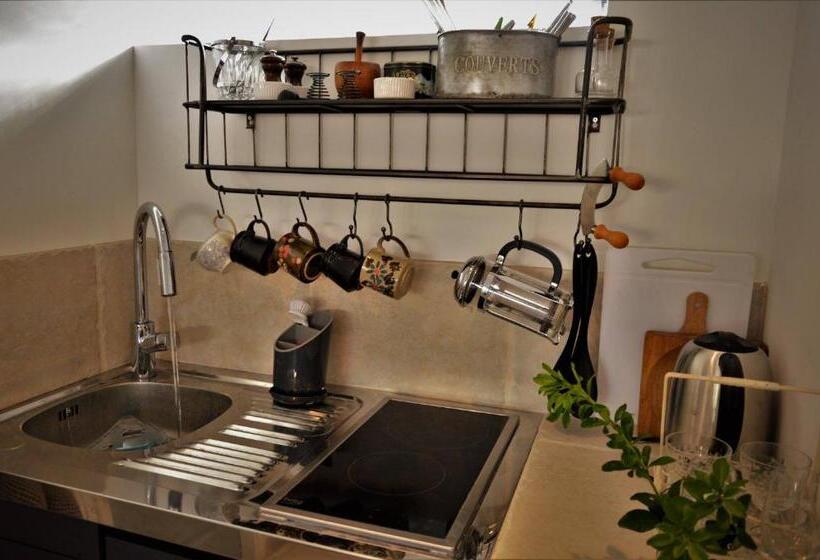 إستوديو قياسى مطلّ علي الحديقة, Le Chat Sur Le Toit