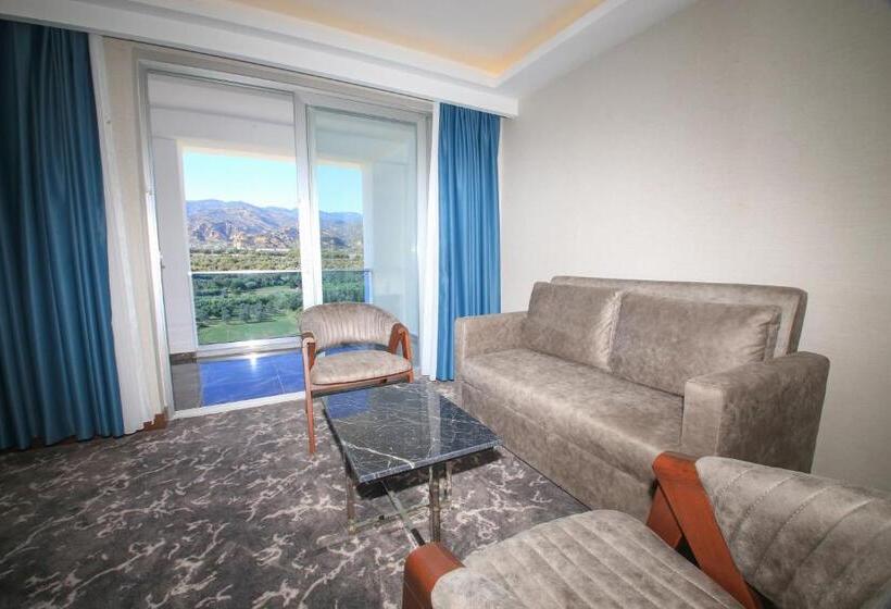 带大床的标准间, Aymi̇ra Hotel & Spa