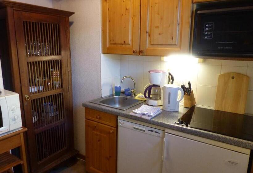 5침실 아파트, Locations Appartements & Chalets   Village Piéton, Vue Glaciers