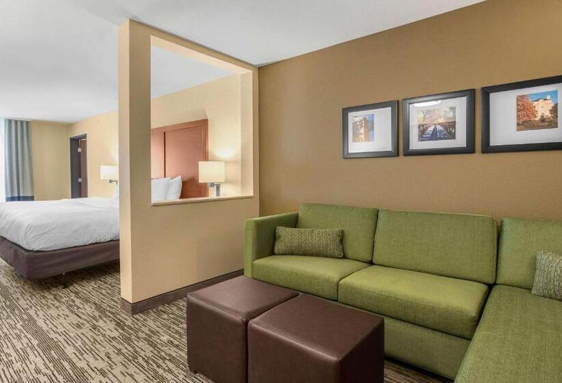 Suite Łóżko King Size, Comfort Inn & Suites Ames Near Isu Campus
