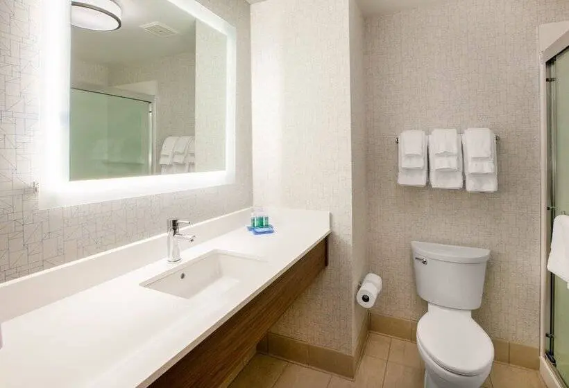 スタンダードルーム, Holiday Inn Express & Suites   Brighton, An Ihg