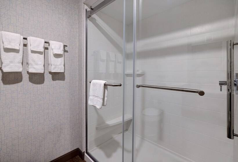 جناح, Holiday Inn Express & Suites   Brighton, An Ihg