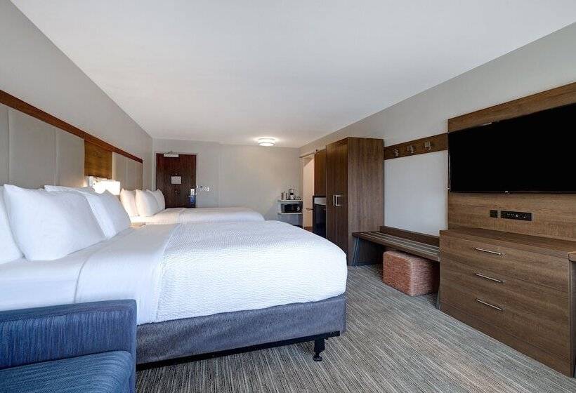 جناح, Holiday Inn Express & Suites   Brighton, An Ihg